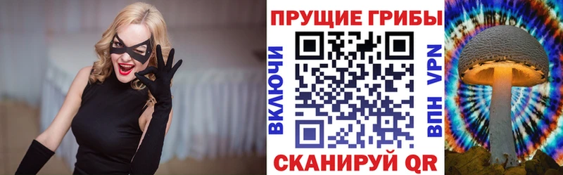 Галлюциногенные грибы Magic Shrooms  Купить где  Суровикино 