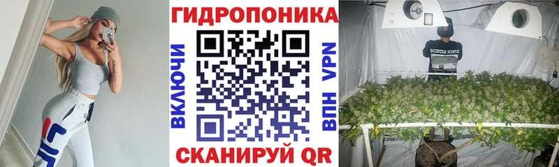 Канабис ГИДРОПОН  Купить где  Суровикино 
